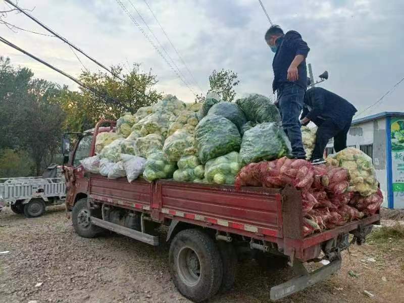 安国镇政协工委助力解决菜农销售难题